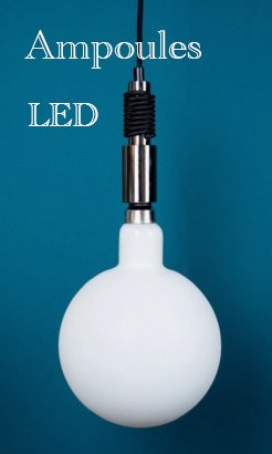 Catégorie Ampoules LED FALUX LIGHTS